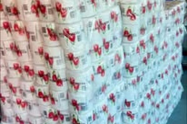 Toilet Papers